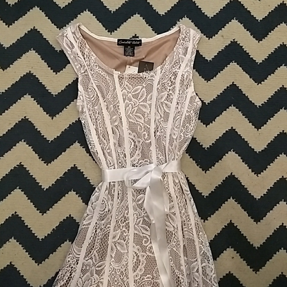 Candalite Petite dress